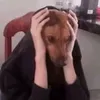 ngunhuccccccc