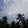cri_335