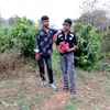 maroof.king86