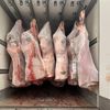 salh.salhi.meat