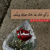 asmaa_habos