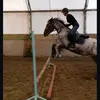 igoliwkq_09