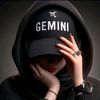 gemini.941