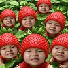 plai_25576