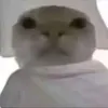 vtrnthanhtrung
