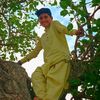 afghanpanter1