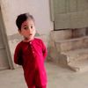 shahzab.477