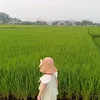 m.ong.thong.dong