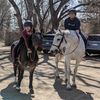 deep_thoughts_horses