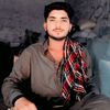 shabranikingof2