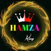 hamza.arshad.65