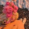 haya_92025