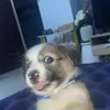 xiangfh1