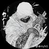 bleu_888