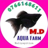 mdaquafarm