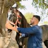 rai.khurram35