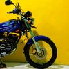 dodoe135