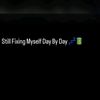 just_fife1