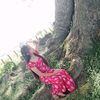 eikhine8658