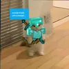 tuicraft6