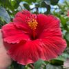 bellaeliza.rosa