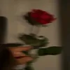 melisa.ioana02