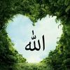 user414358280066