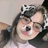 daikelyvillalobos