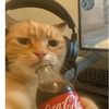 toughcookie36