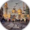 qasim_khan352