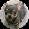 luisarcecatacora2
