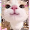 thaornhi35