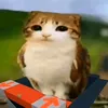 meafetovofaltaamanh4