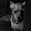 luci.3012