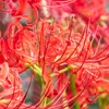 quy.nguyen.thanh8