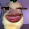 senpai6tyudn