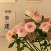 user78138132019