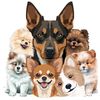 caninepawmily