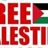 free.palestine5395