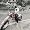 1n_onlyanex