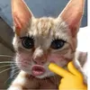 k.bmcbongg_