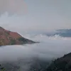 vitungmc
