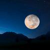 burhanali_770