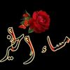 user5022581781377