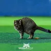 zzzull6