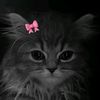 nabila.akther256