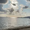 mirac67_32