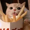 boredaf_fr