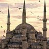 .rozymurat6