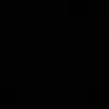zin030206